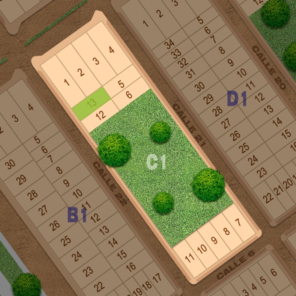 C1-13