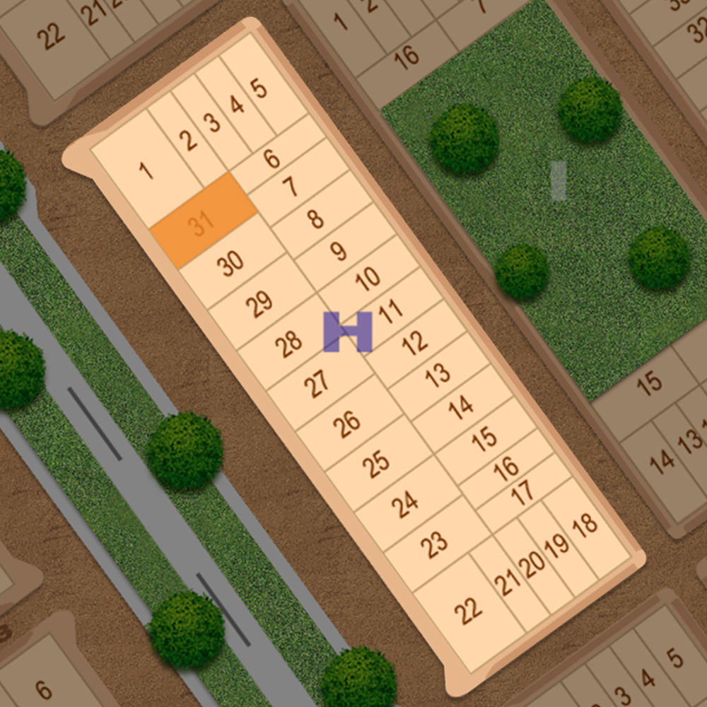 H-31