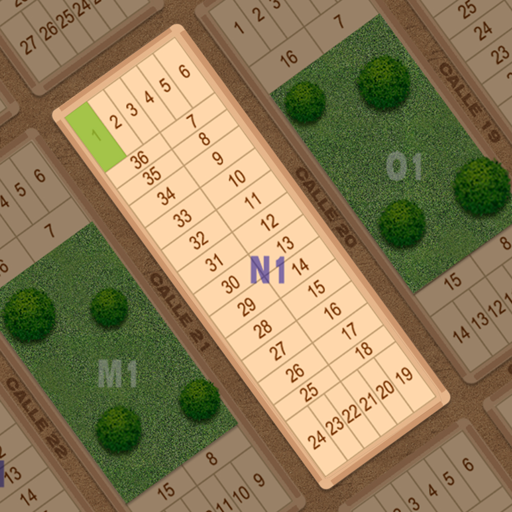 N1-1